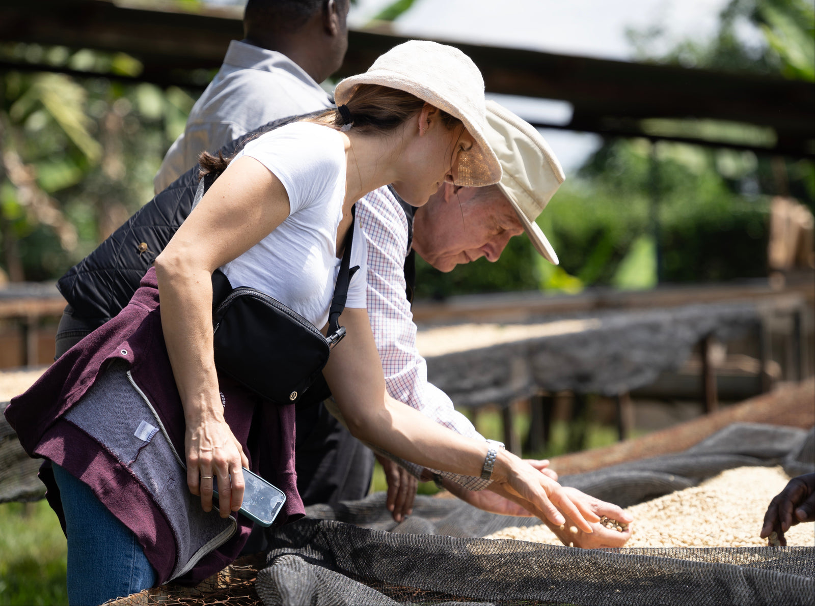 george and jenny howell looking at Mamuto beans