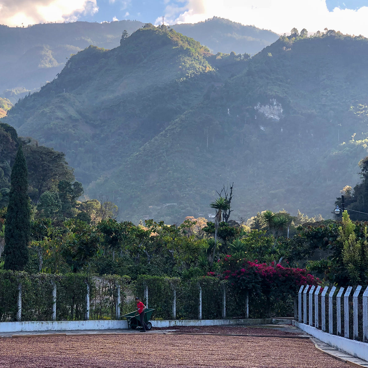 Hunapu Java, Guatemala